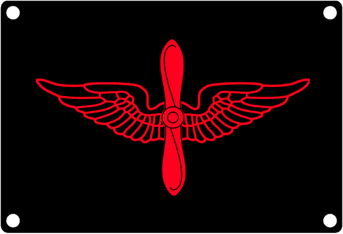 Aviation Branch Insignia