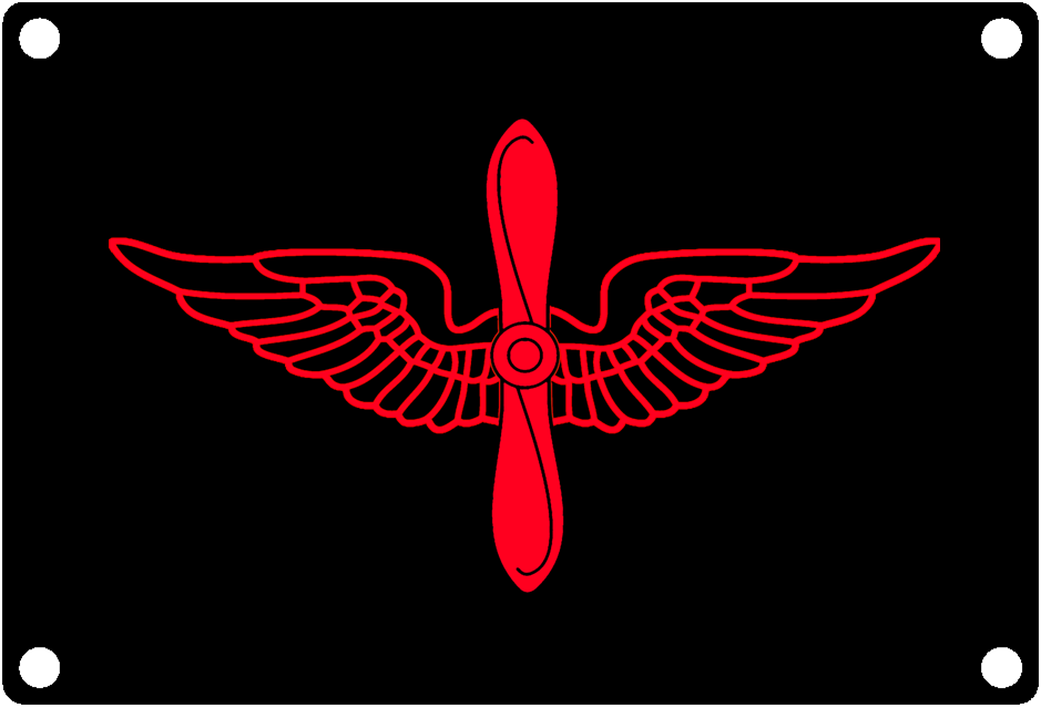 Aviation Branch Insignia